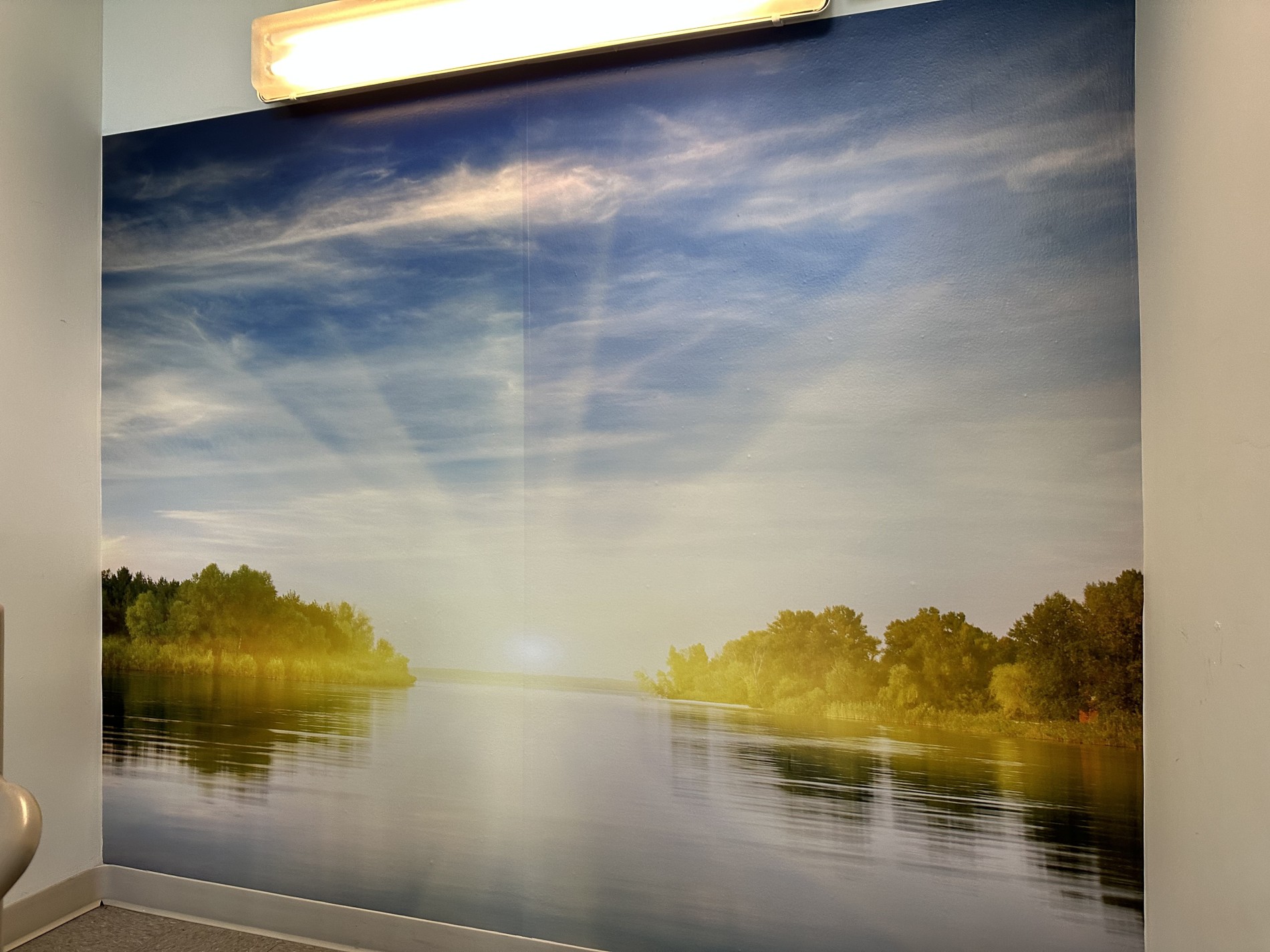 Custom Wallpaper Project Gallery - Custom Wallpaper Services Miami, Fort Lauderdale, Boca Raton | Sign Design & Creations